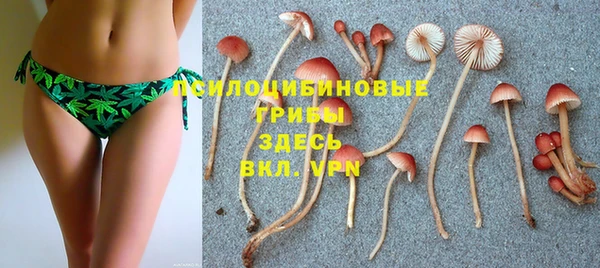 СК Майский