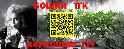 прущий лед Гатчина
