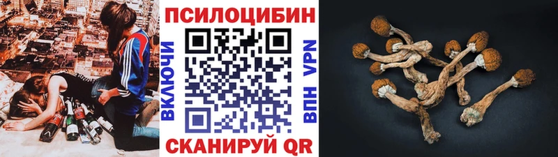 даркнет сайт Орск Галлюциногенные грибы мицелий
